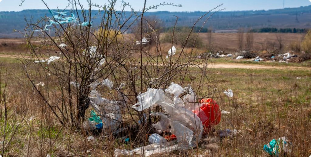 Día Internacional Libre de Bolsas Plásticas: ¿por qué es tan importante restringir su uso?